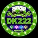 Dk222 Game apk