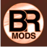 Br mods injector