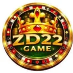 zd22 game