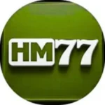 hm77 game apk