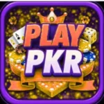 Playpkr game apk